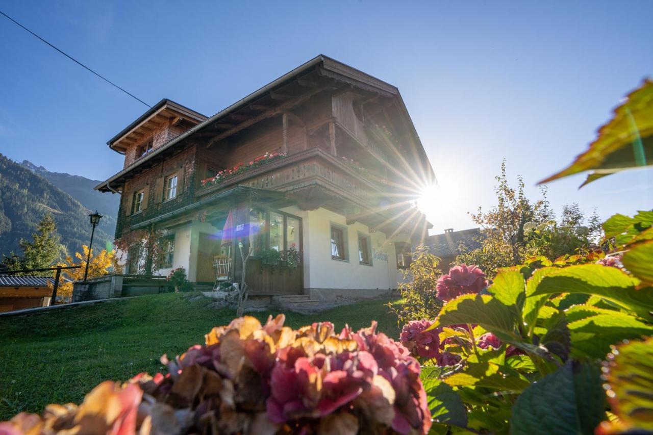 Gaestehaus Waldruh Brandberg Esterno foto